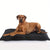 Unterstützendes Schlafpad Hundebett