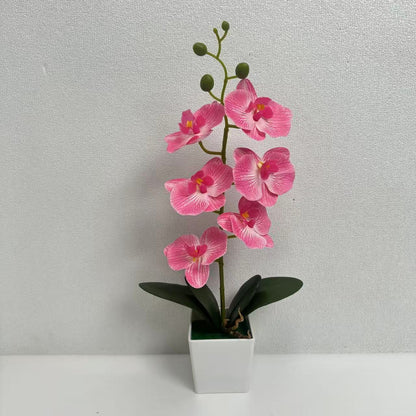 Elegante Künstliche Orchidee