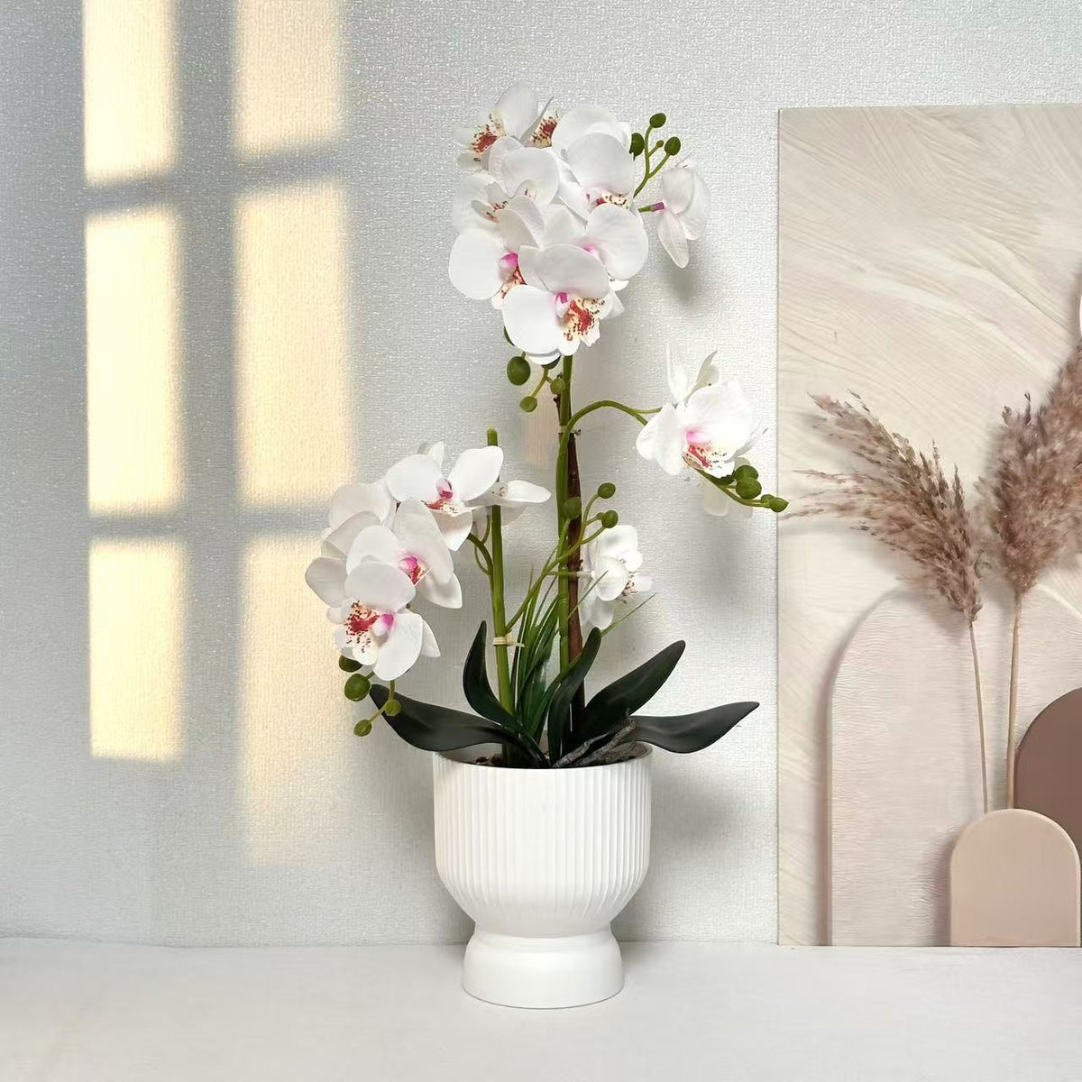 Dekorative Orchideenpflanzenarrangement 1790480695 für Dekor