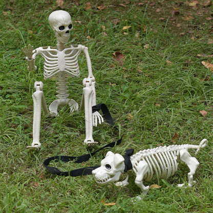 Skelett Hund Spaziergang Dekoration Brehn