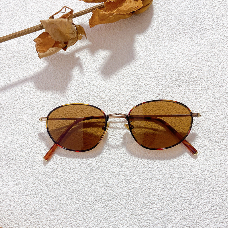 Modische Brille Im Eleganten Design Brehn
