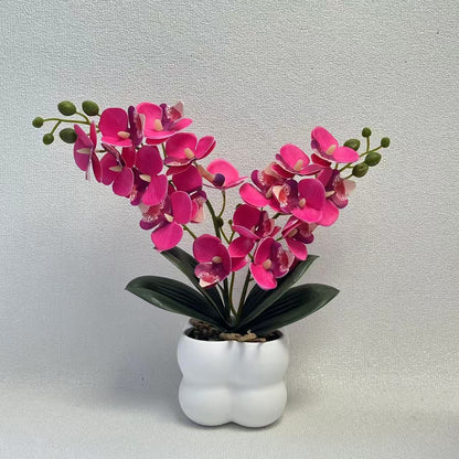 Lebensechte Orchideen Tischmittelstück
