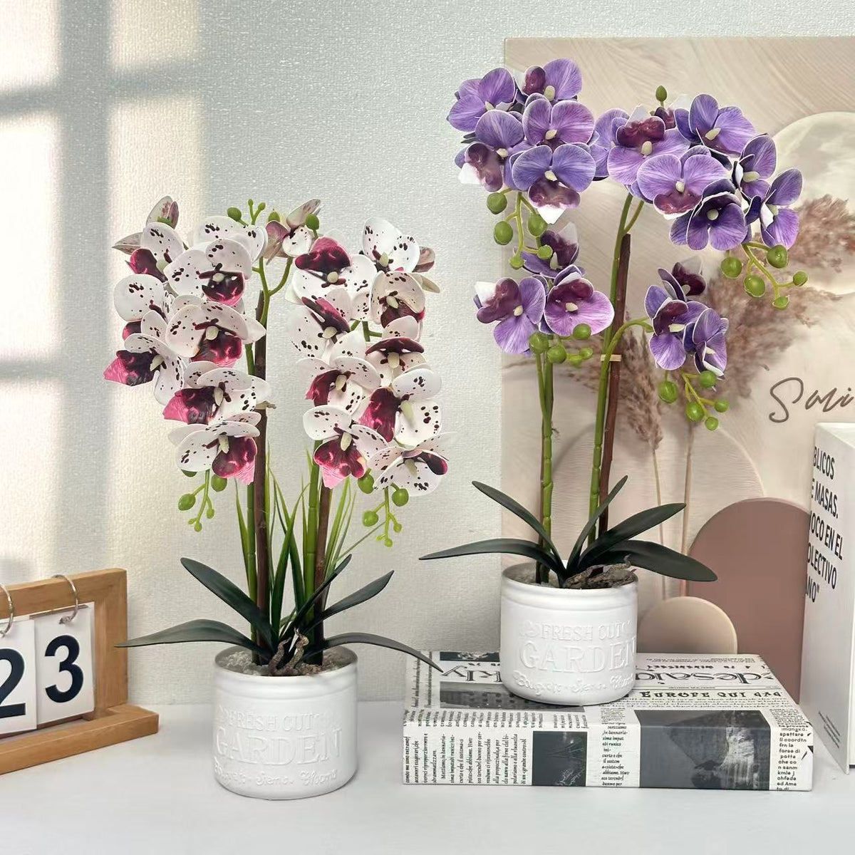 Dekorative Topfpflanzen-Orchideen-Anordnung für Tischdeko