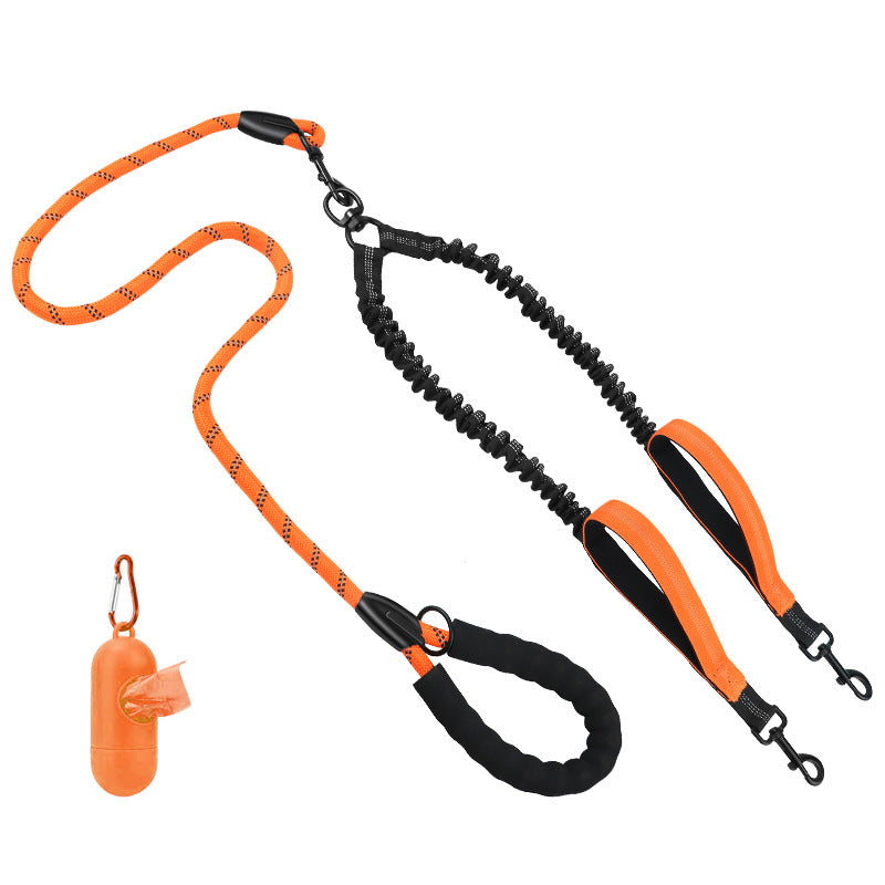 Hundetraining Leine