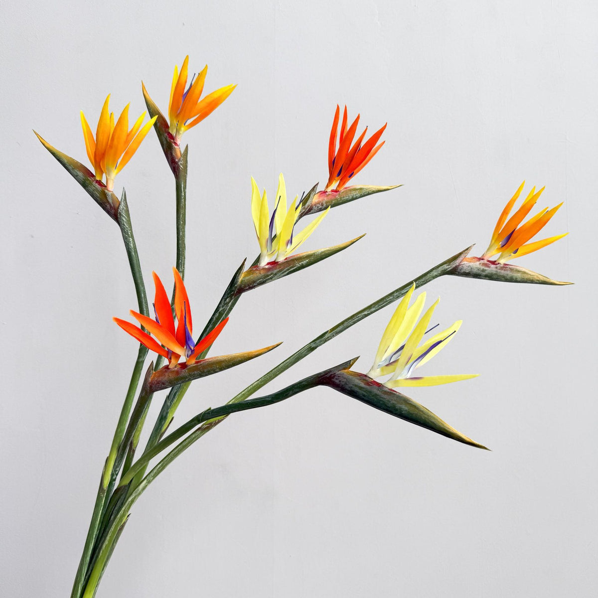 Dekorative Blumenanzeige