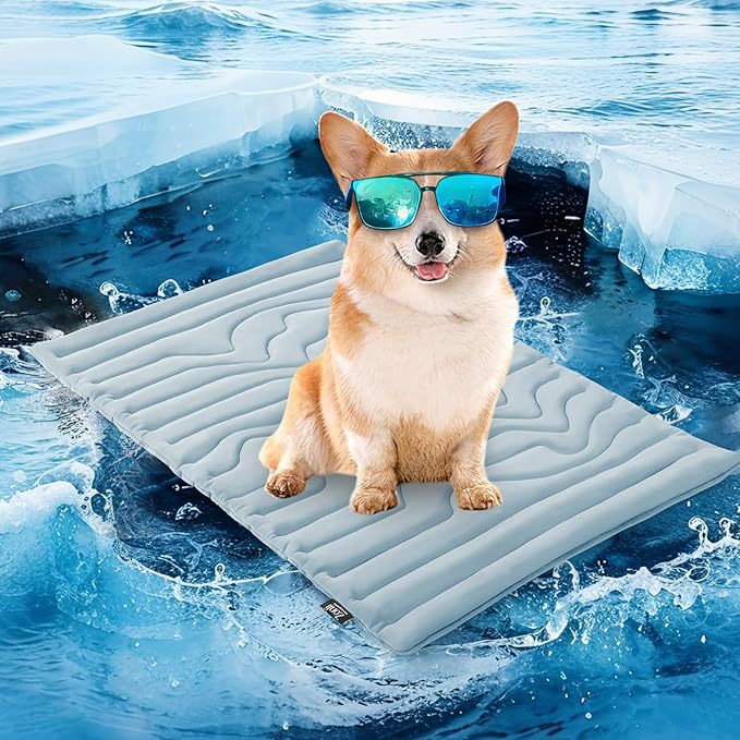 Unisex nan orthopädisches Hundebett mit viscoelastischem Schaumkern und erhöhtem Rand Brehn