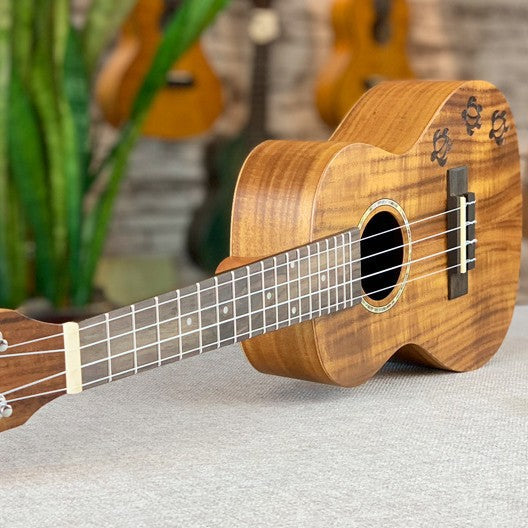 Premium 23-Zoll exotische Koa Ukulele Brehn