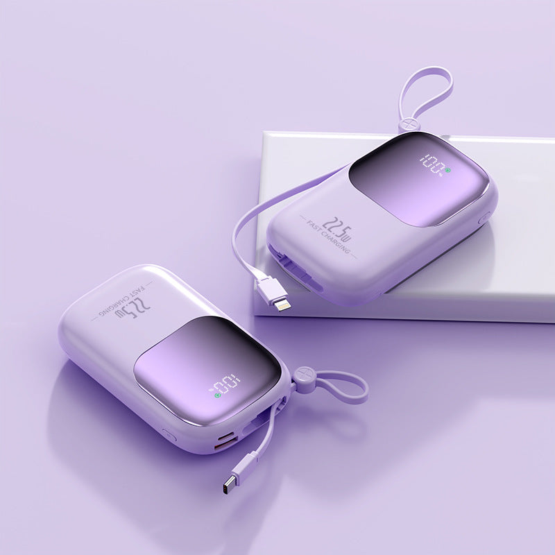 Hochleistungs-Powerbank mit Intelligenter Schnellladefunktion Brehn