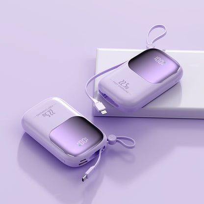 Hochleistungs-Powerbank mit Intelligenter Schnellladefunktion Brehn