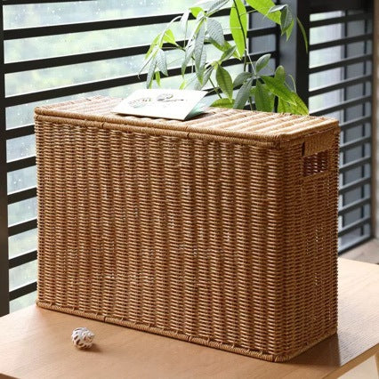 Unisex dekorative Rattan Aufbewahrungskiste Brehn