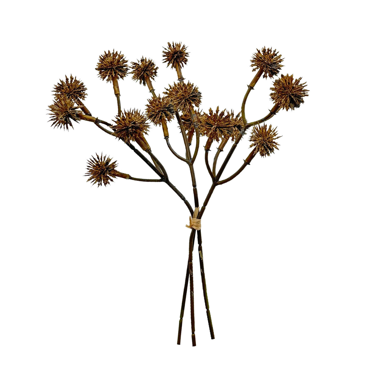 Natürlicher dekorativer Blumenstängel