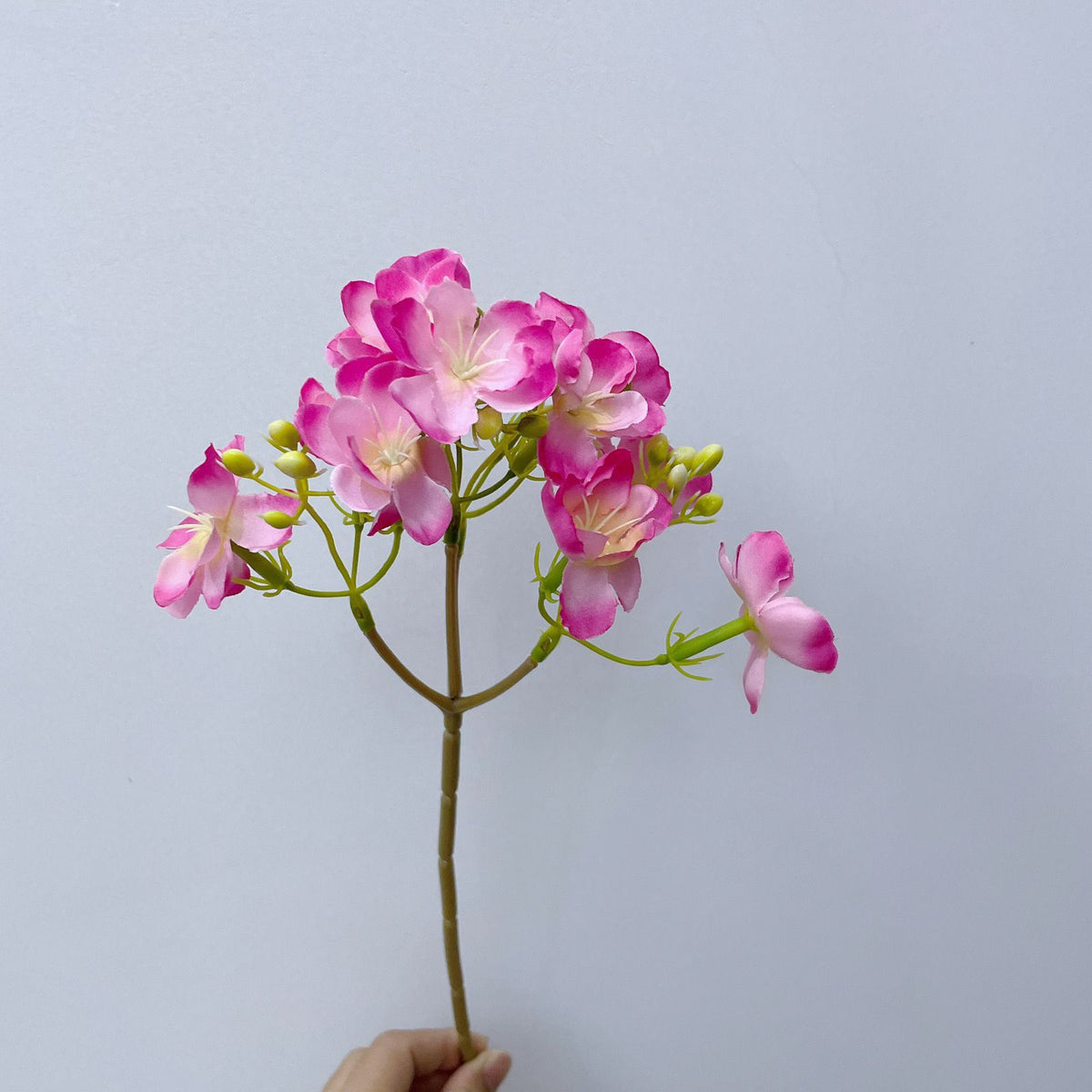 Dekorative Blumenarrangements