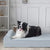 Orthopädisches Lounge-Hundebett