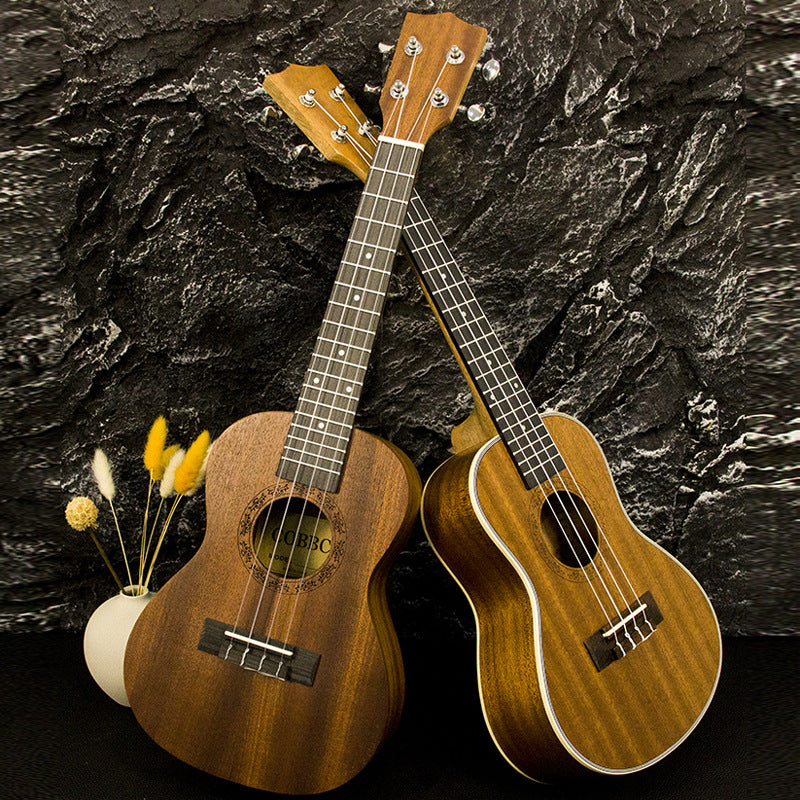 Rainbow Akustik Ukulele Brehn