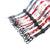 Stylische verstellbare Brillenband Brehn