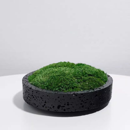 Dekorativer Gartenpflanzer