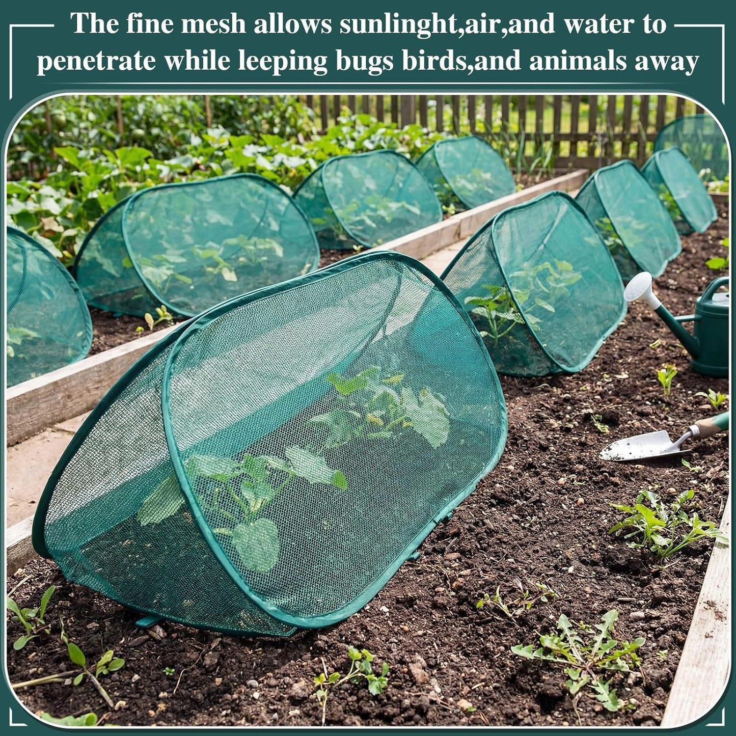 Gartenpflanzen Schutz Brehn