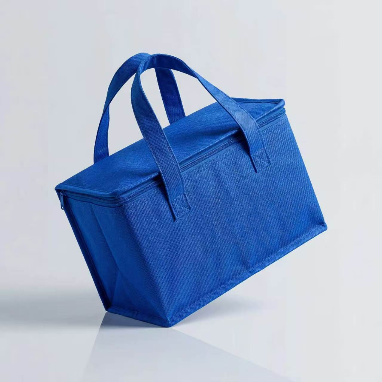 Isolierte Reise-Kühltasche Brehn