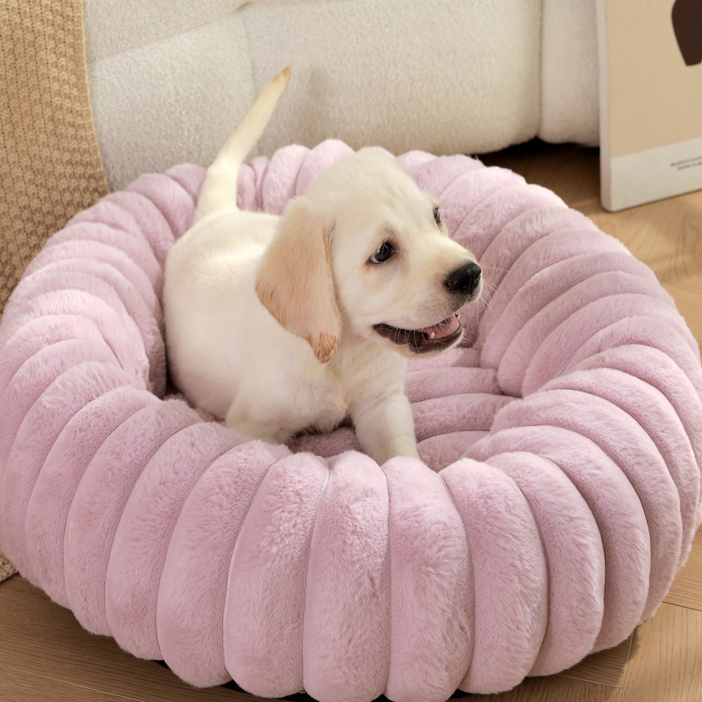 Damen Gemütliches und stilvolles Kuschelbett Brehn