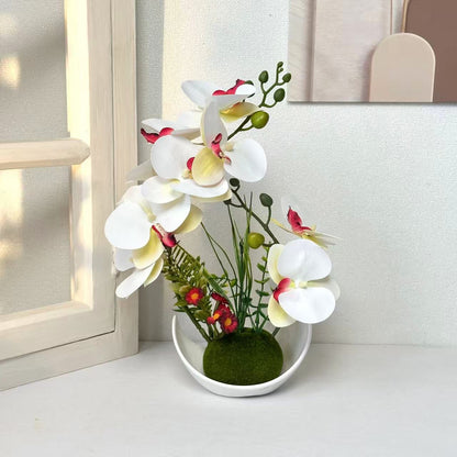 Dekorative Orchideenpflanzenanordnung für die Wohnkultur