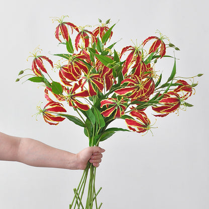 3D Realistische Gloriosa Lilienstiel