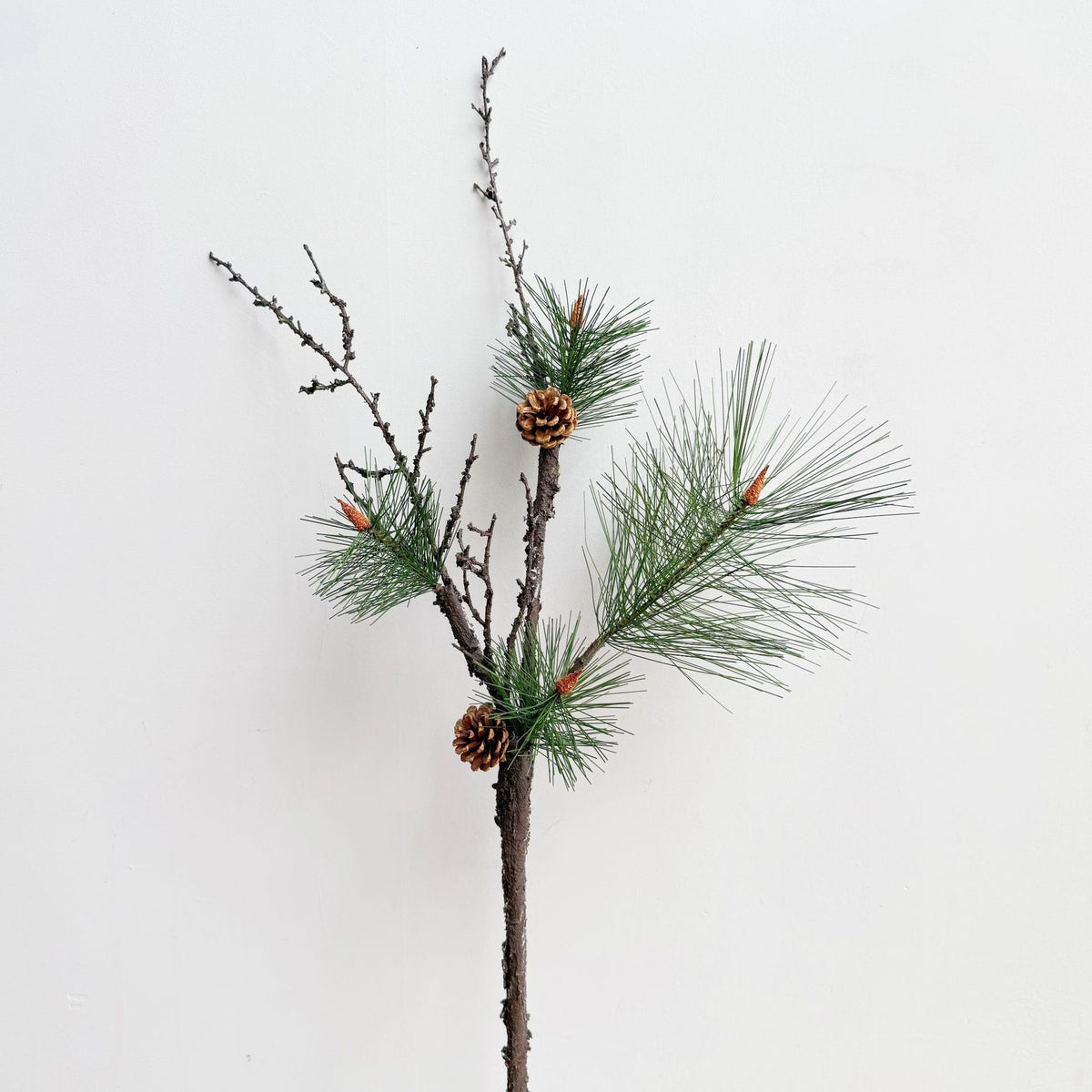 Dekorative Zapfenarrangement