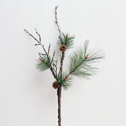 Dekorative Zapfenarrangement