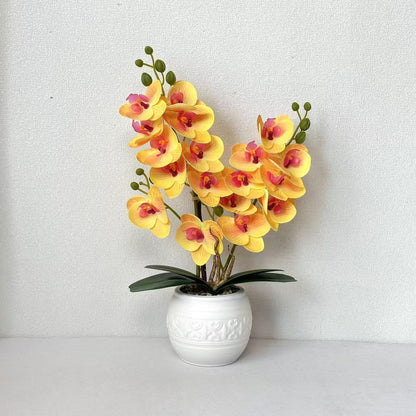Dekorative Orchidee für Tischdekoration