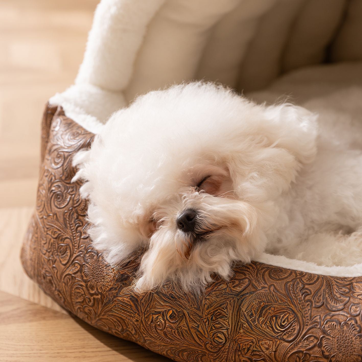 Gemütliches Geschlossenes Hundebett