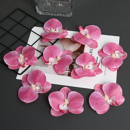 Dekoratives Orchideenblatt für die Wohnkultur展示