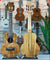 Premium handgefertigte Soprano Ukulele Brehn