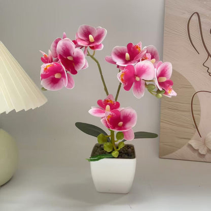 Lebensechte Orchideenpflanzenanordnung für die Heimpräsentation