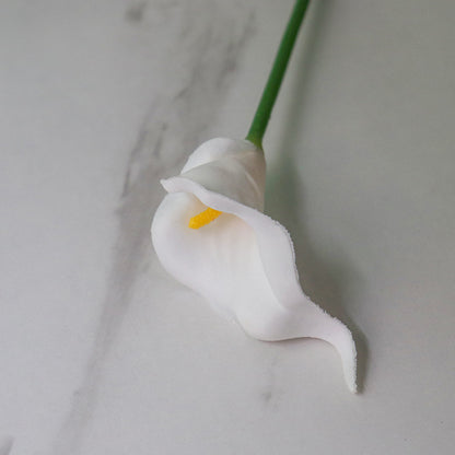 Realistische dekorative Calla-Lilie-Stängel