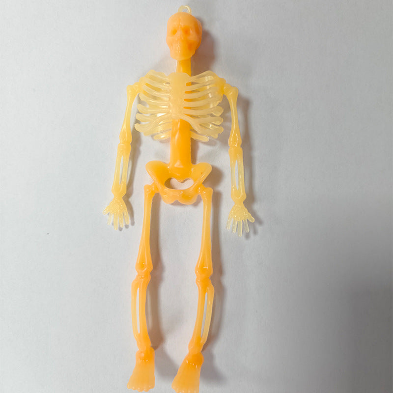 Miniatur anatomisches Skelett Brehn