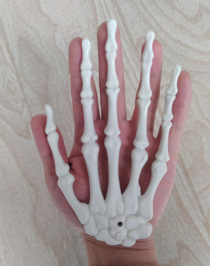 Anatomisches Hand-Skelettmodell Brehn