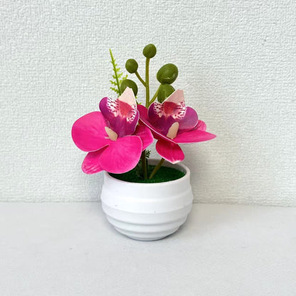 Lebensechte Miniatur-Orchideenarrangement