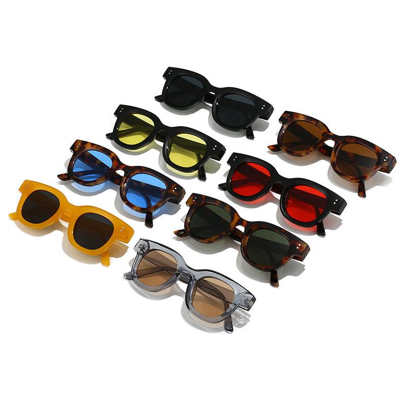 Damen modische Sonnenbrille im zeitlosen Schildkrötenmuster Brehn