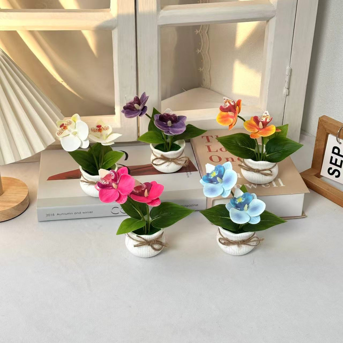 Dekorative Topf-Orchideen-Anordnung für die Innendekoration