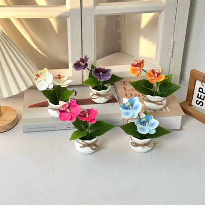 Dekorative Topf-Orchideen-Anordnung für die Innendekoration