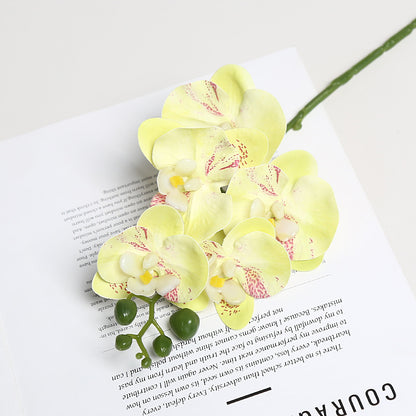 Realistische Orchideenblütenstängel