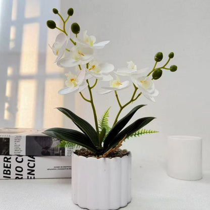 Heim Dekorative Künstliche Orchidee für Innendekorative Anzeige