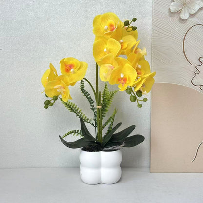 Premium lebensechte Orchideenpflanzenarrangement