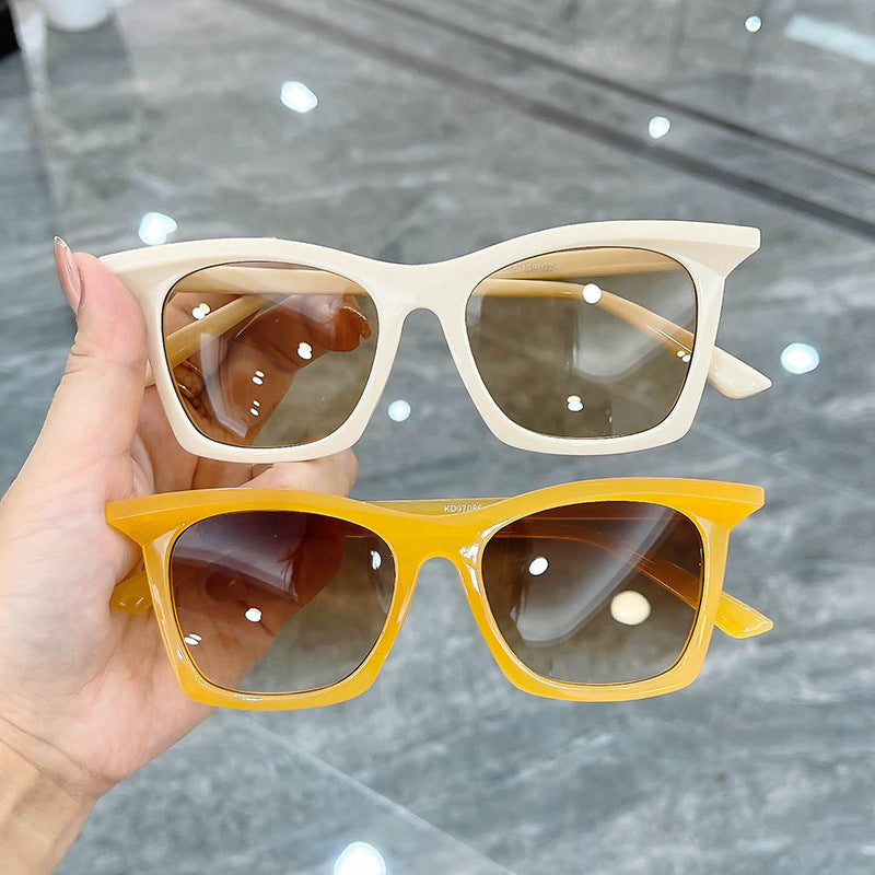 Damen Cat-Eye Sonnenbrille mit gradienten Gläsern und transparentem Rahmendesign Brehn