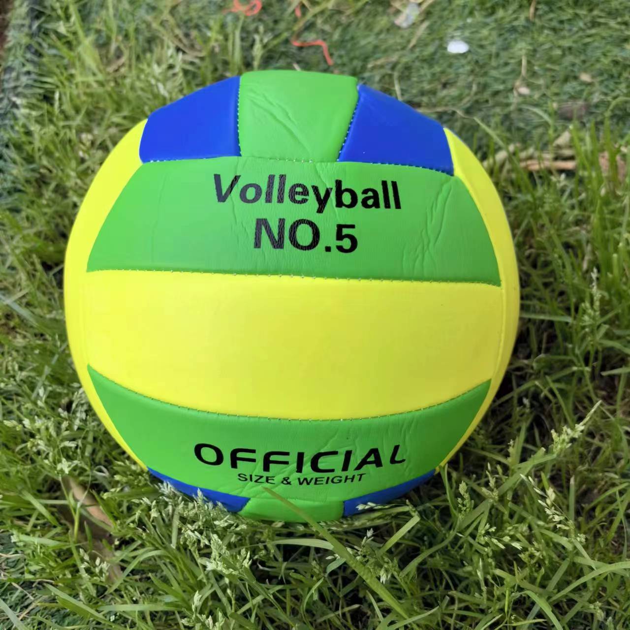 Damen Volleyball Brehn