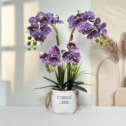Lebensechte Orchideenpflanze in dekorativem Topf für die Wohnkultur