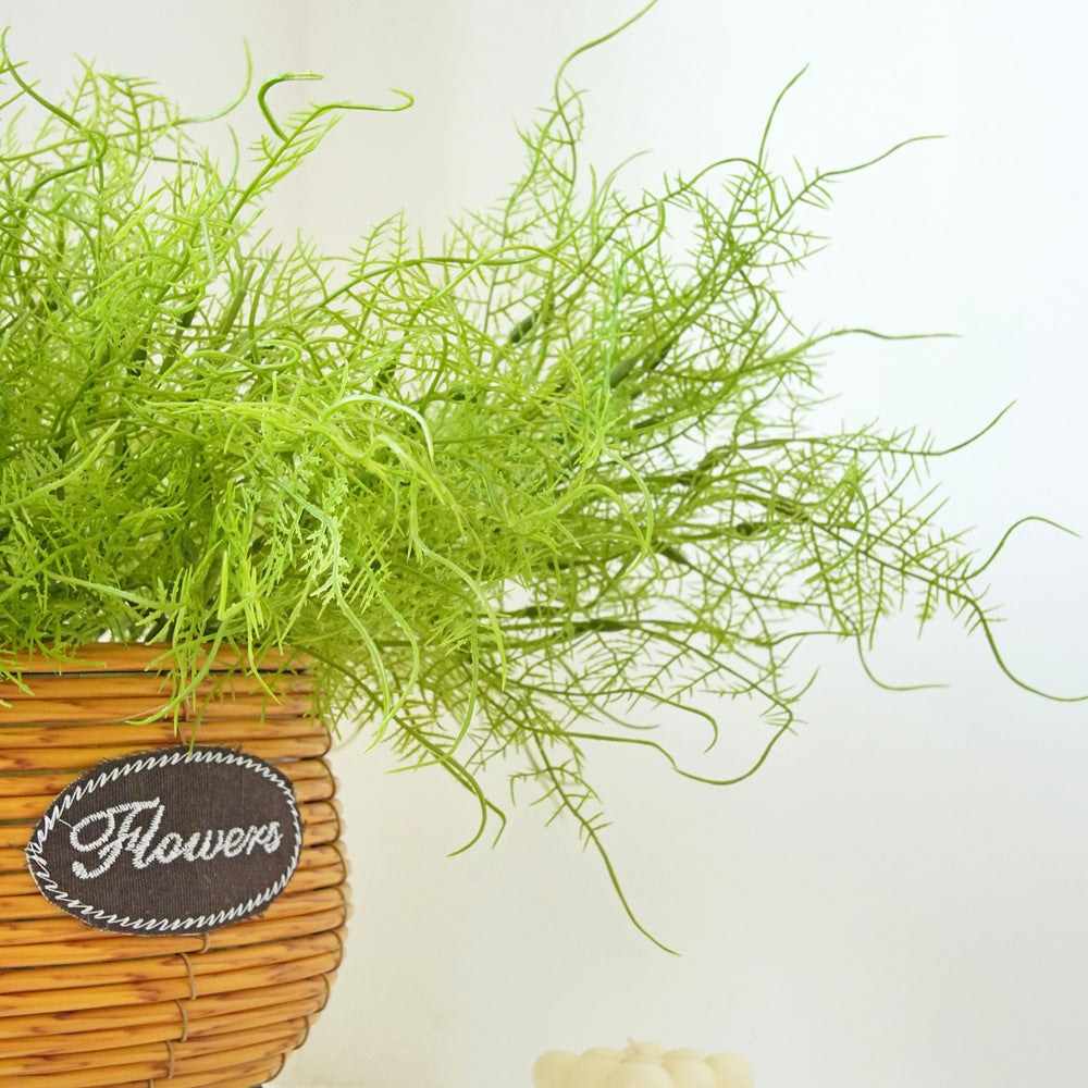 Dekorative Grünpflanze Stängel