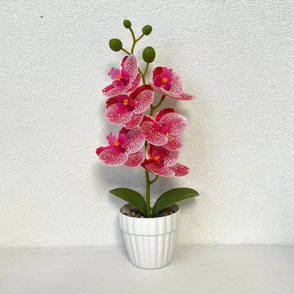 Lebensechte Künstliche Orchideenarrangement für die Wohnkultur
