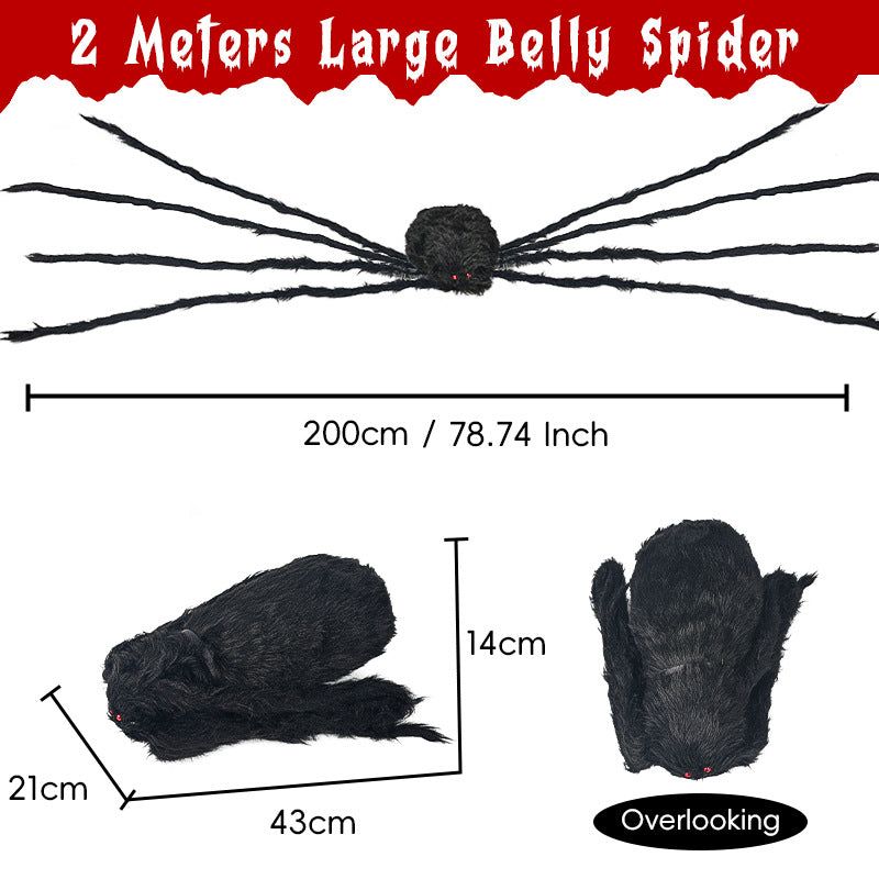 Realistische Dekorative Spinne Brehn