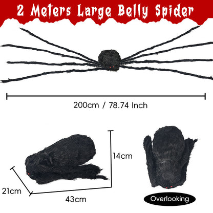 Realistische Dekorative Spinne Brehn
