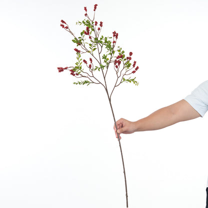 Dekorative Botanische Stiel